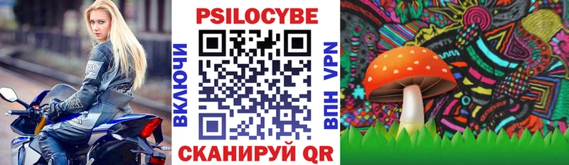 Купить где  Сухой Лог  Псилоцибиновые грибы MAGIC MUSHROOMS 